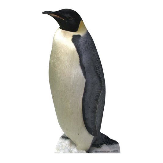 SC068 Penguin Cardboard Cut Out Height 90cm - Star Cutouts