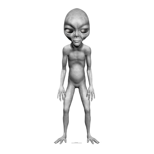 SC1112 Grey Alien Star Mini Cardboard Cut Out Height 90cm