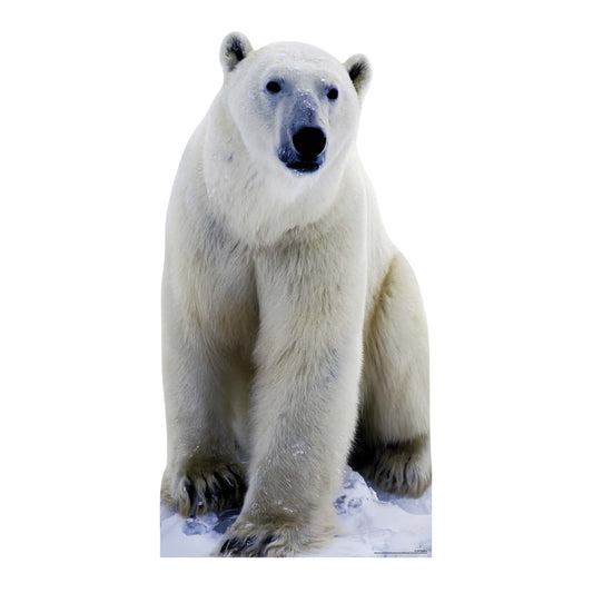 SC139 Polar Bear Cardboard Cut Out Height 185cm - Star Cutouts