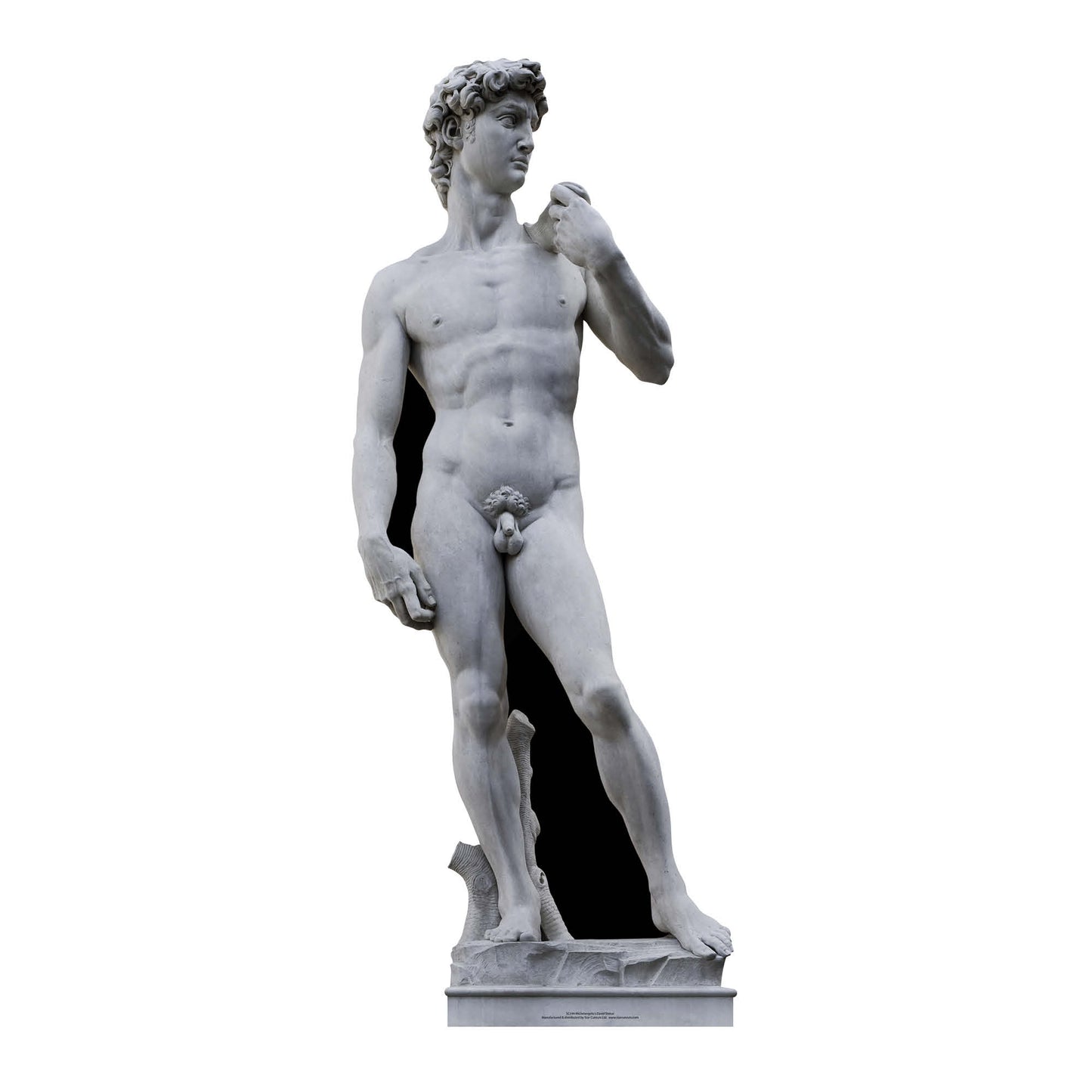 SC144 Michelangelo's David Statue Cardboard Cut Out Height 186cm