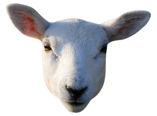 SM447 Sheep Mask Animals Single Face Mask