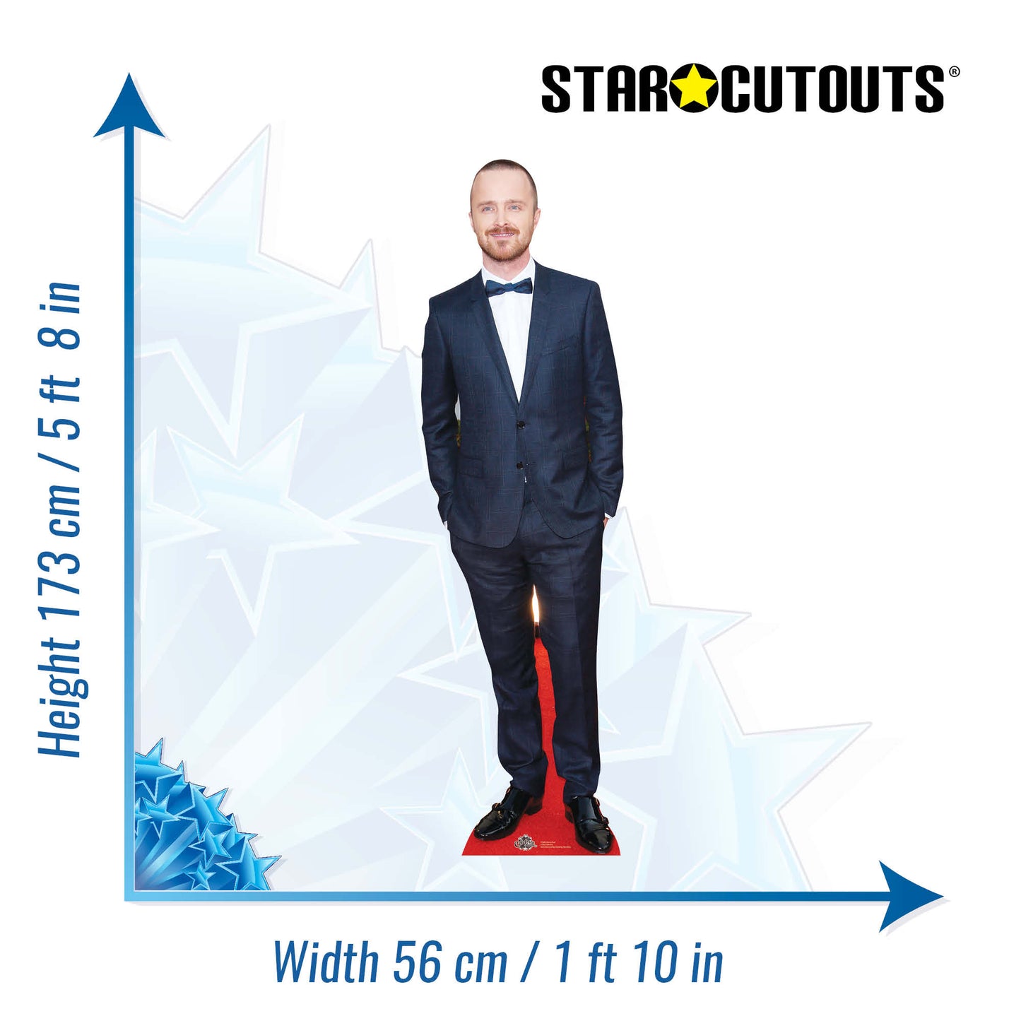 CS605 Aaron Paul Height 173cm Lifesize Cardboard Cutout