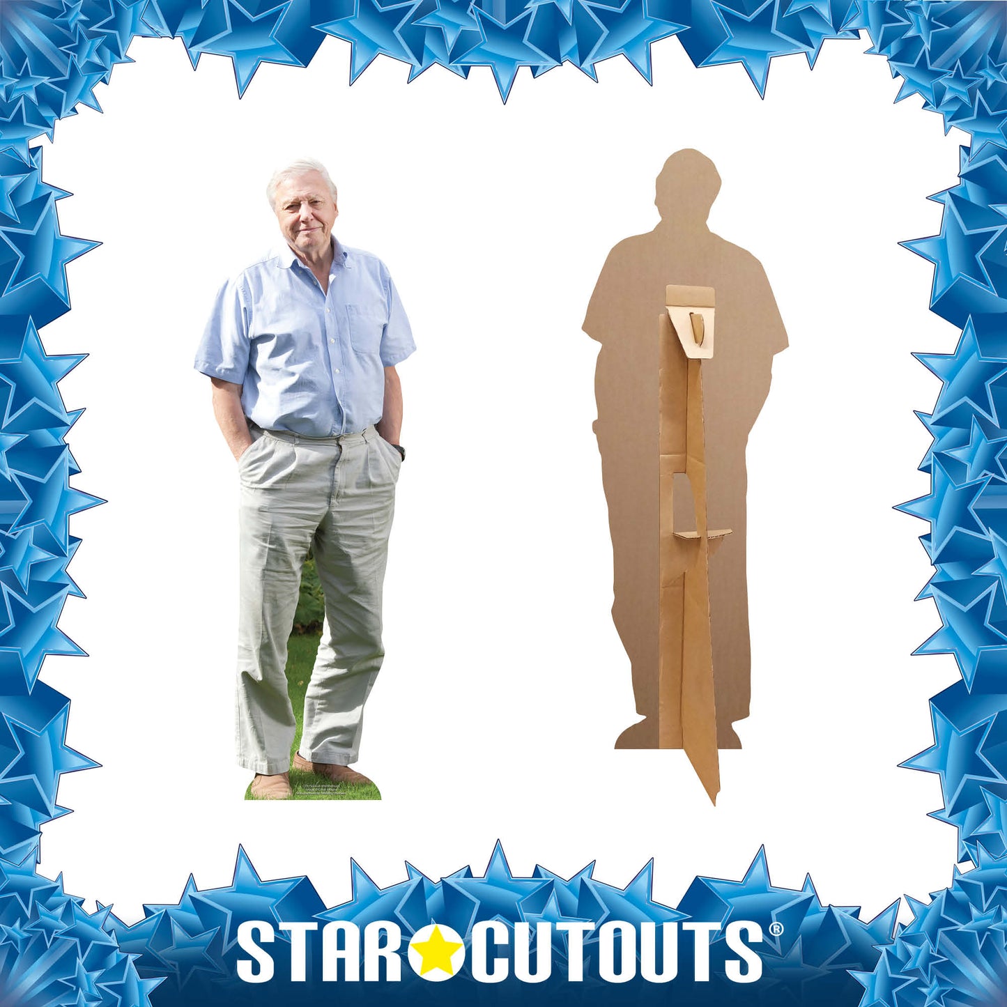 CS915 David Attenborough (Star Mini) Height 90cm Small Cardboard Cut Out