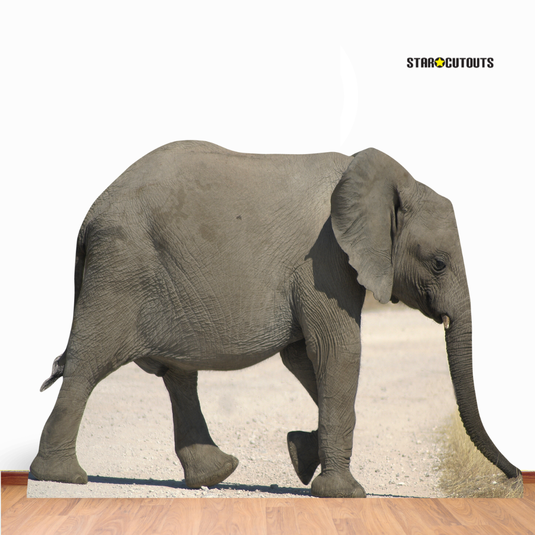 SC069 Baby Elephant Cardboard Cut Out Height 93cm