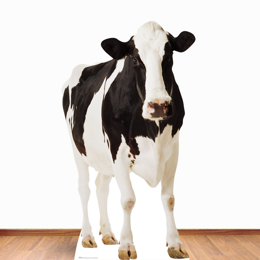 SC163 Cow Cardboard Cut Out Height 165cm