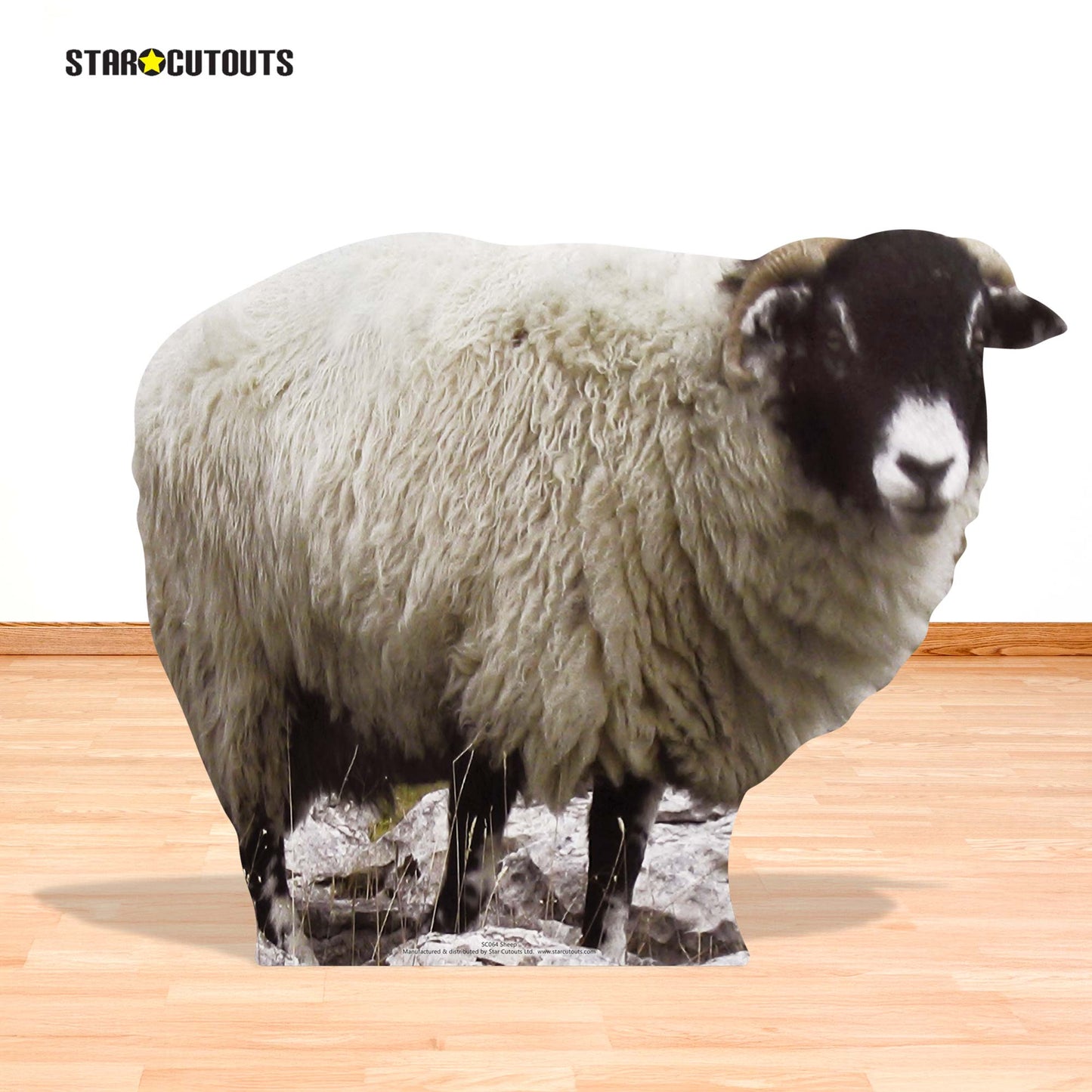 SC064 Sheep Cardboard Cut Out Height 63cm