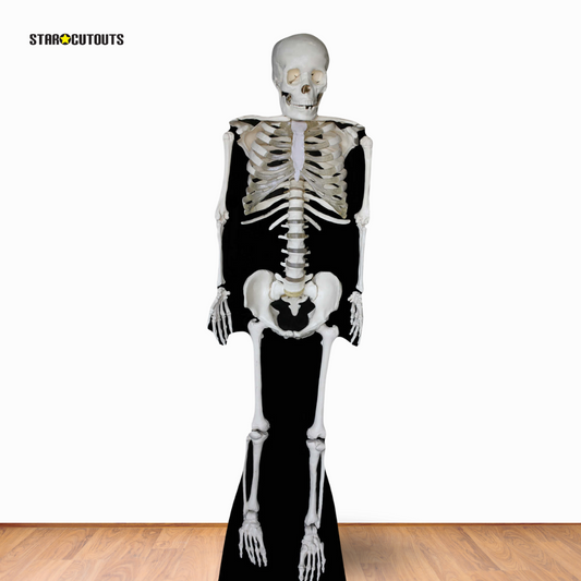 SC160 Skeleton Cardboard Cut Out Height 189cm