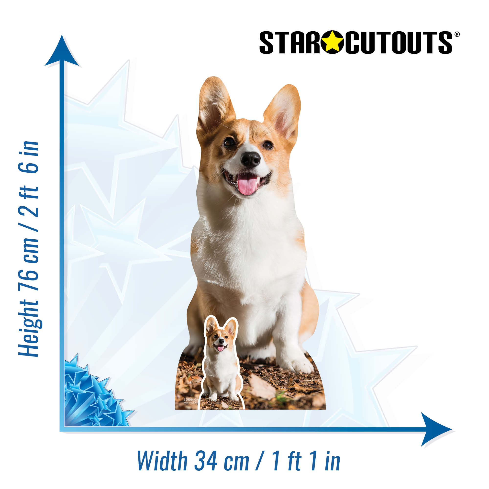 Corgi best sale dog size