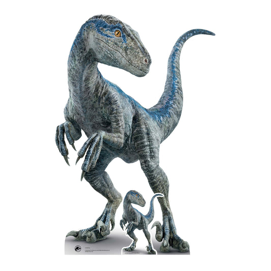 SC4080 Mother Blue - Raptor Jurassic World Dominion Cardboard Cut Out Height 135cm