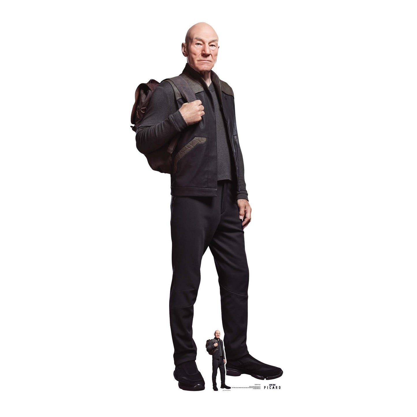 SC4832 Picard Cardboard Cut Out Height 178cm