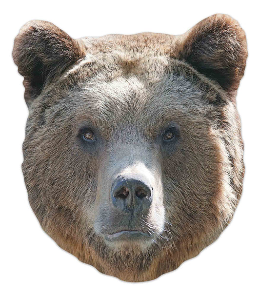 SM388 Bear Animal Single Face Mask