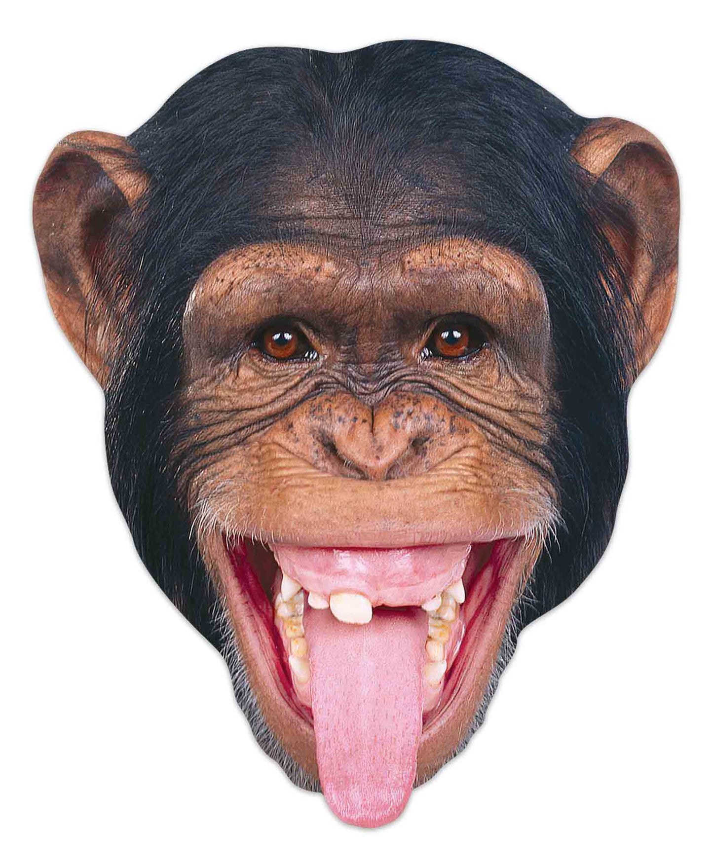 SM389 Chimpanzee Animal Single Face Mask